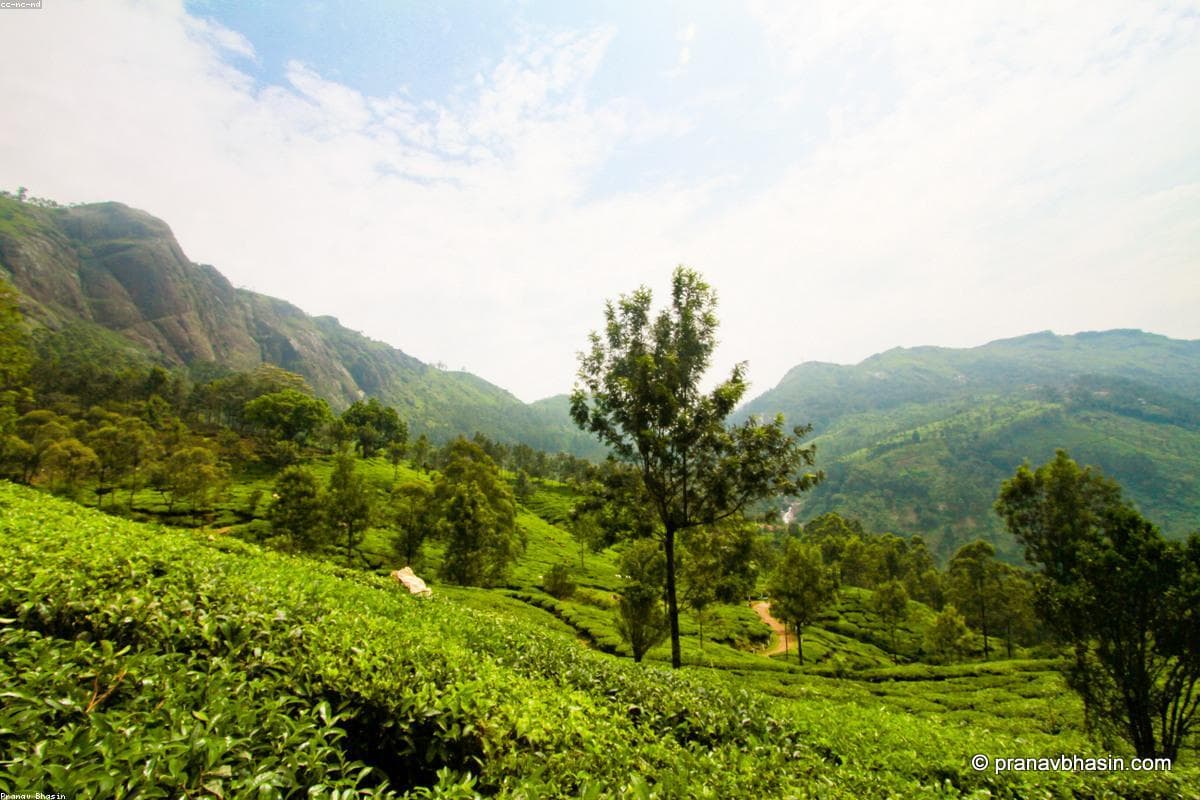 Munnar