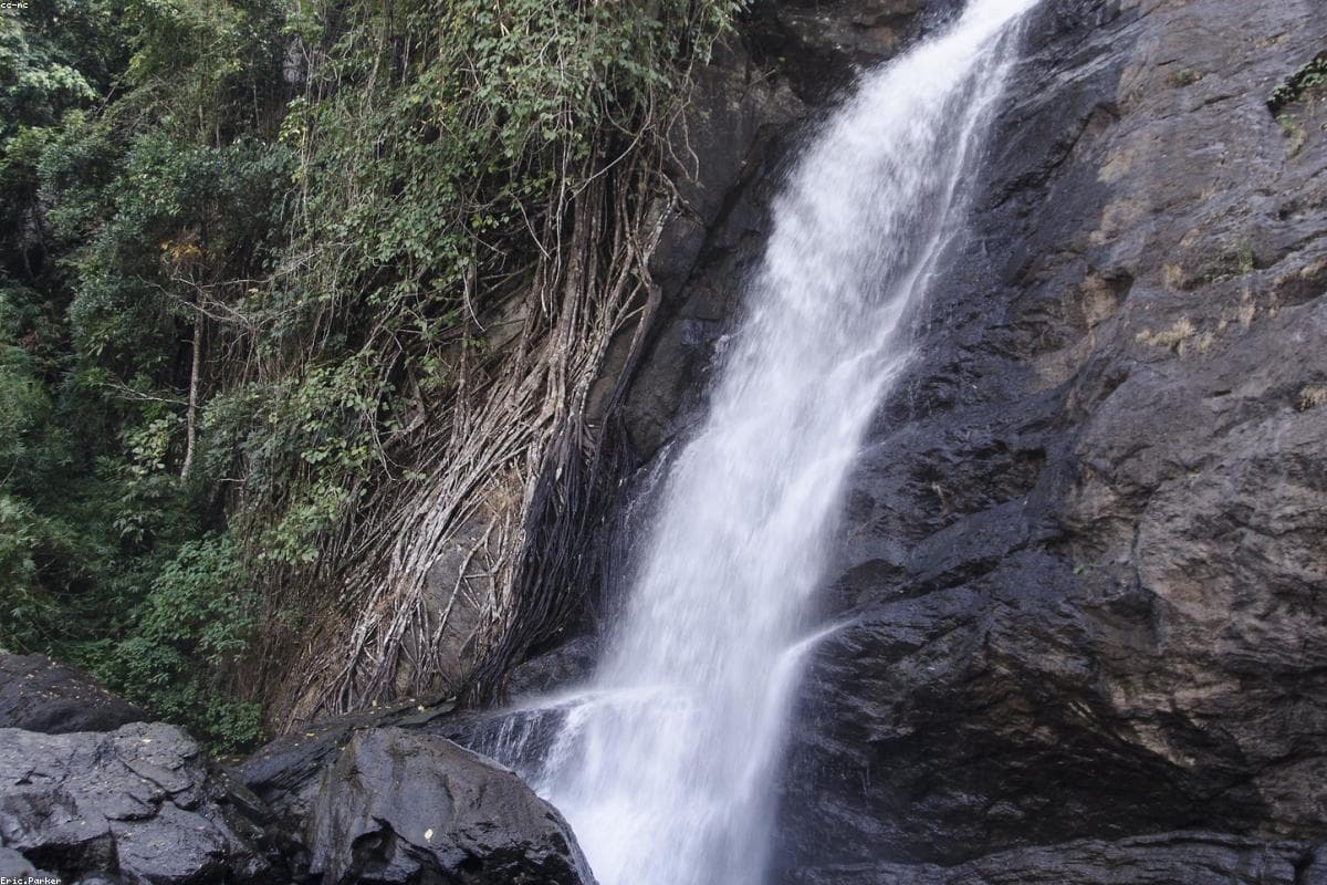 Wayanad