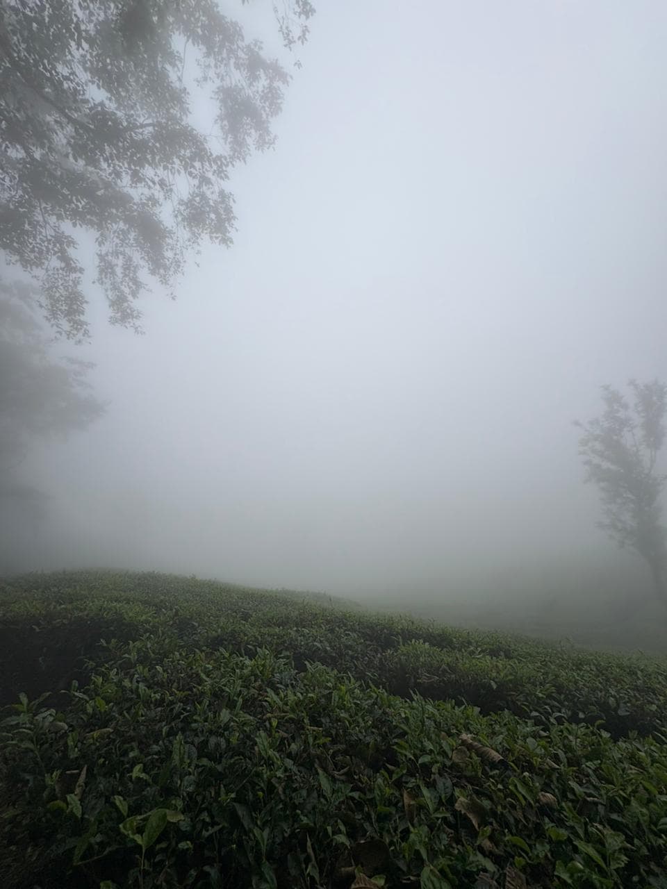 Kerala travel gallery